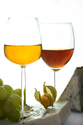 degustation vin